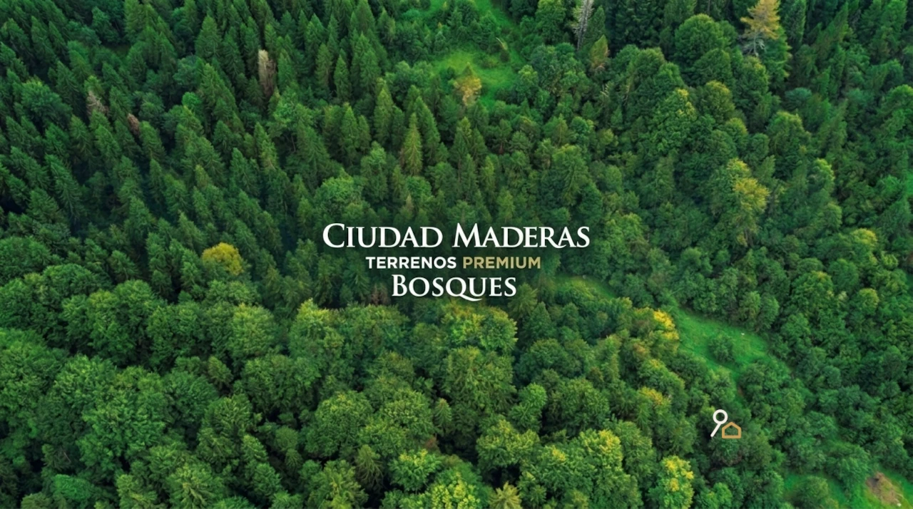 Terrenos residenciales en Ciudad Maderas Bosques