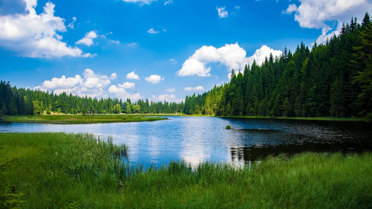 Lago en Privada Bosques